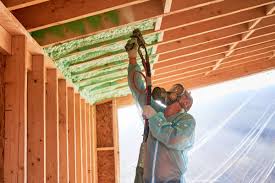 Eco-Friendly Insulation Solutions in Long Grove, IL